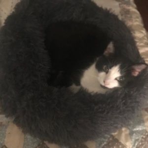 Meet your Posher, Danielle